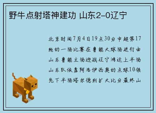 野牛点射塔神建功 山东2-0辽宁