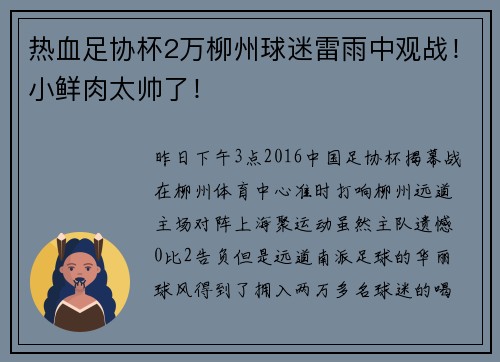 热血足协杯2万柳州球迷雷雨中观战！小鲜肉太帅了！