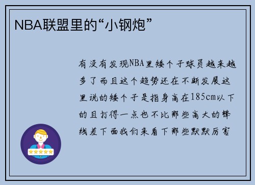 NBA联盟里的“小钢炮”